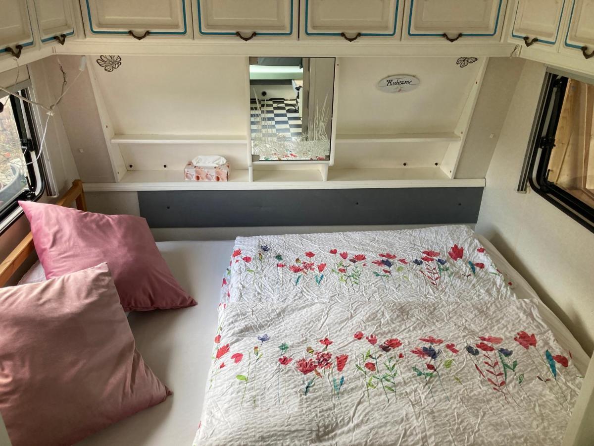 Tiny House Anneliese Hunde Okay Villa Oberbettingen Екстериор снимка